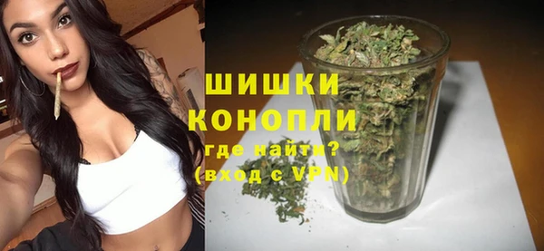 винт Лабытнанги