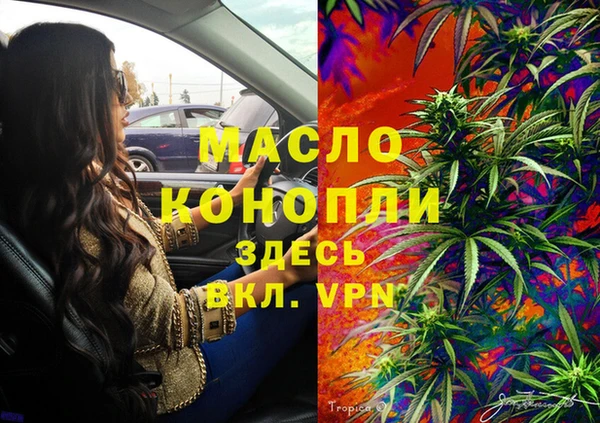 дживик Ладушкин
