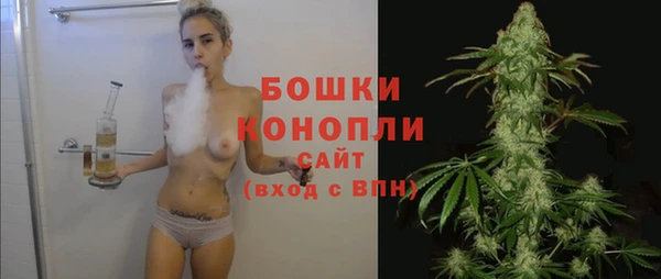 дживик Ладушкин