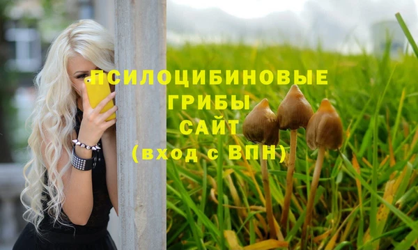 дживик Ладушкин