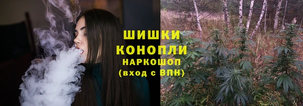 винт Лабытнанги