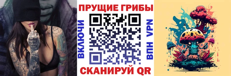Псилоцибиновые грибы прущие грибы Армянск
