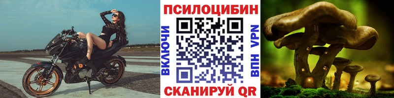 Купить  Армянск  Псилоцибиновые грибы прущие грибы 